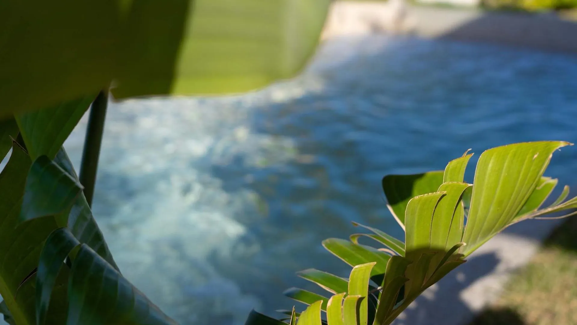 Villa Zagara Garden Spectacular Sea View In Taormina